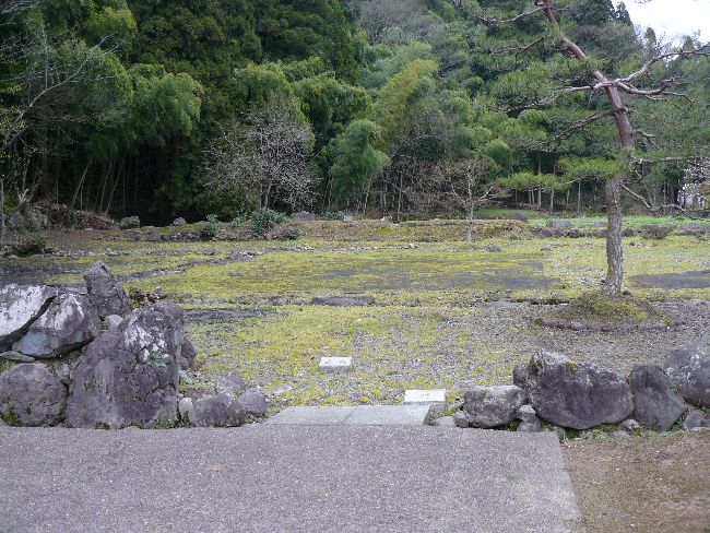 �_�����n����