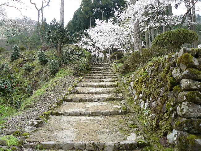 ���̌�a��