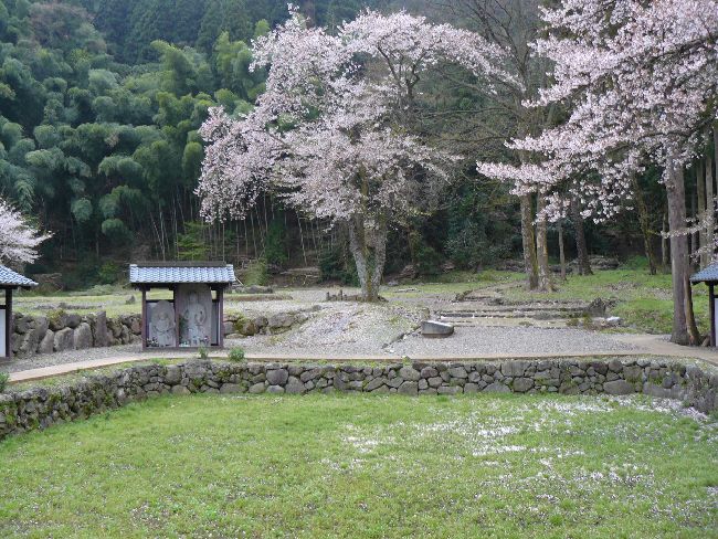 ���R���Ǝ���