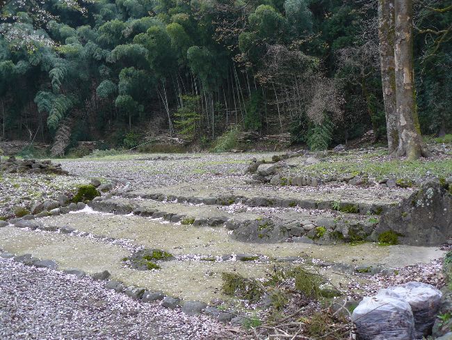 ���R���Ǝ���