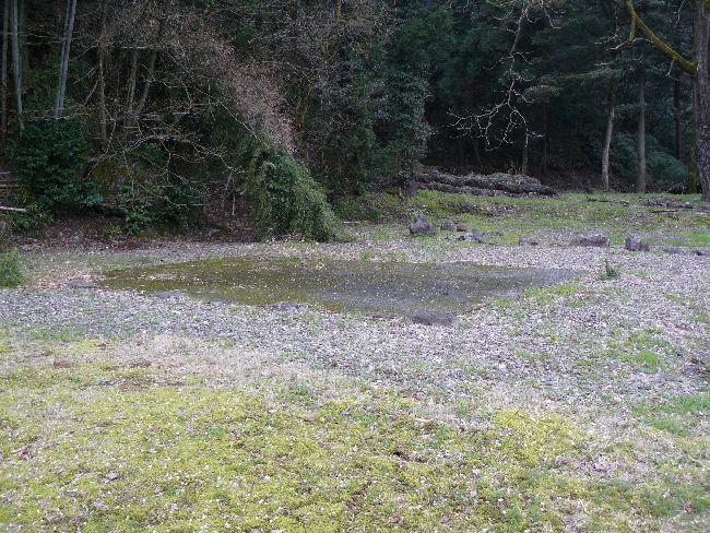 ���R���Ǝ���