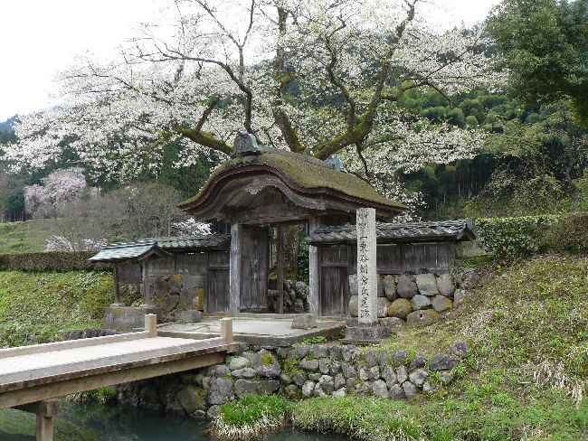 ���q�`�i�ِ�