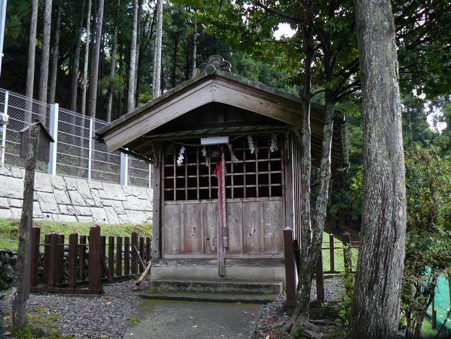 �����_��