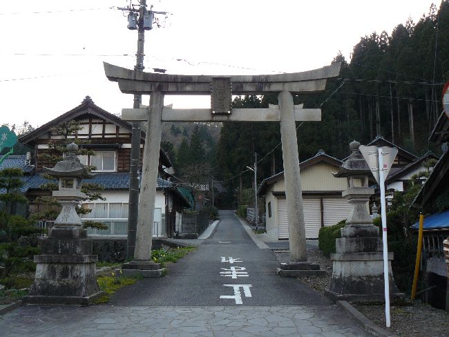 �F��_��(�����{)