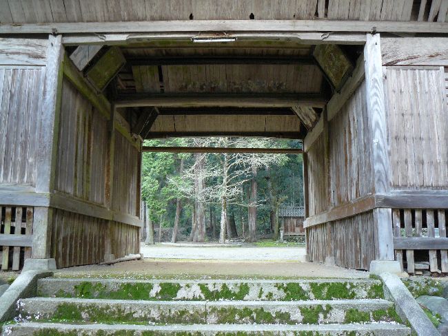 �F��_��(�����{)