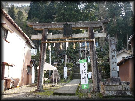 �V���_��