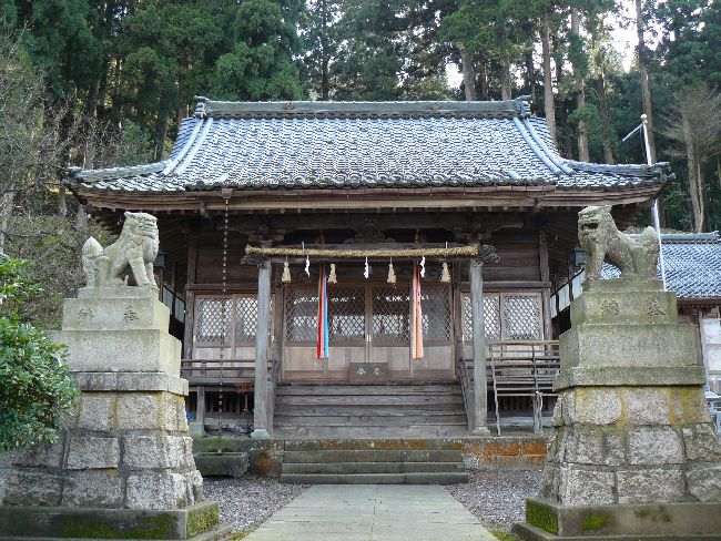 �V���_��