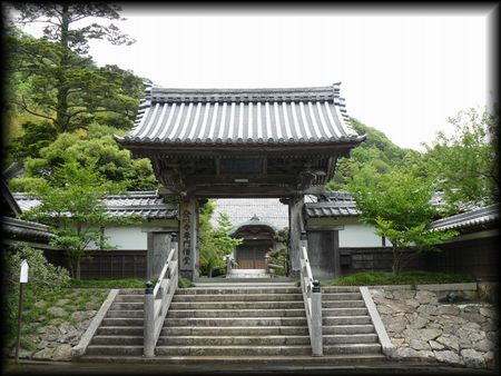 ���S���Q���K�i���猩�グ���R��