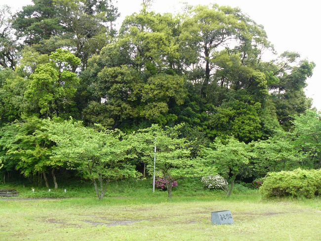 �������Õ�