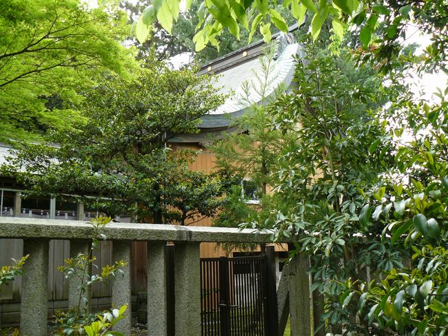 ���l�_��