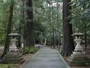若狭彦神社鳥居に見立て２本杉の大木と石燈篭