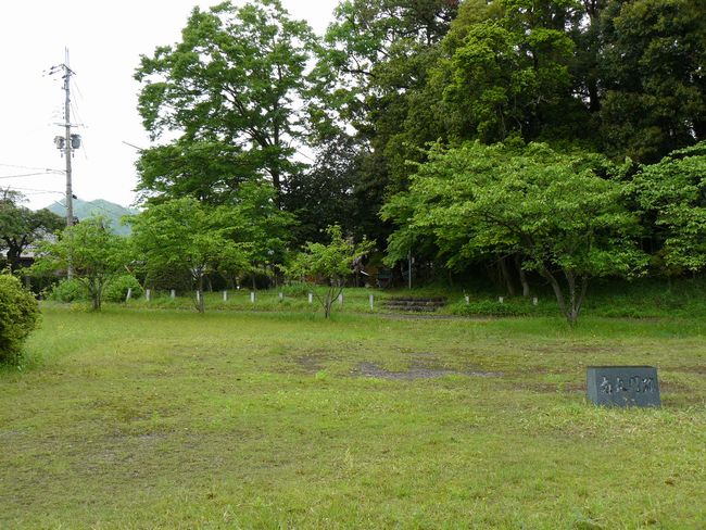 �ዷ������