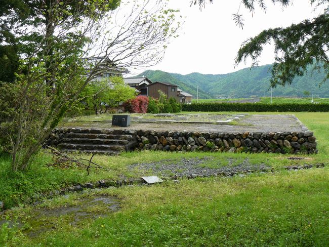 �ዷ������