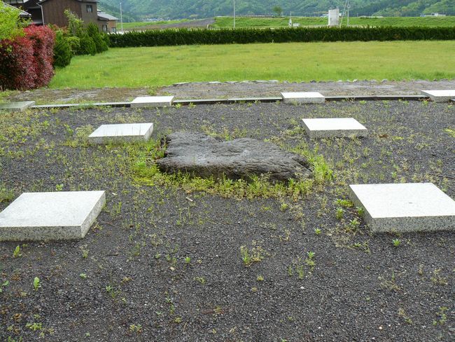 �ዷ������