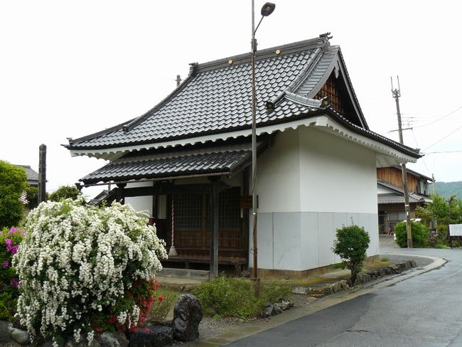 �ዷ������