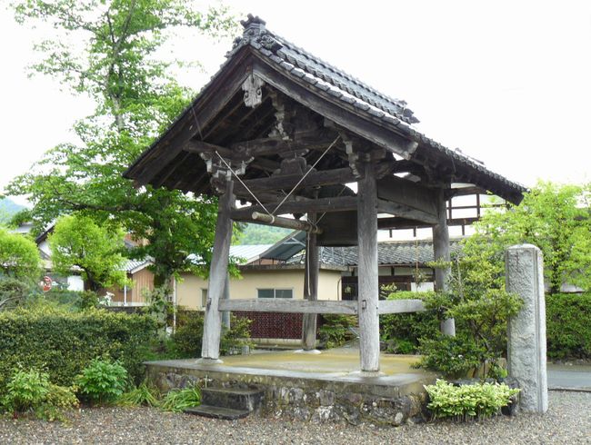 �ዷ������