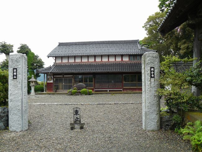 �ዷ������