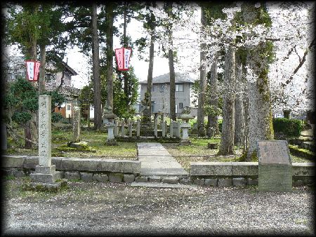 ���q�`�i��