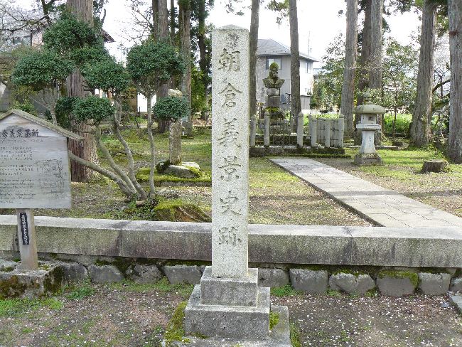 ���q�`�i��