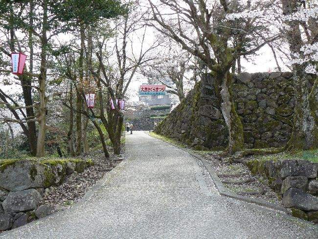 �z�O����