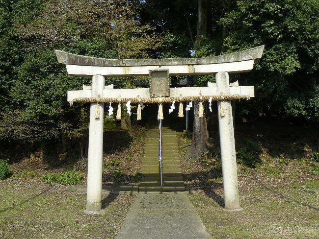 �����_��