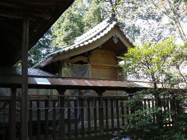 �����_��