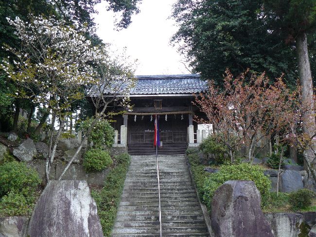 �t���_��