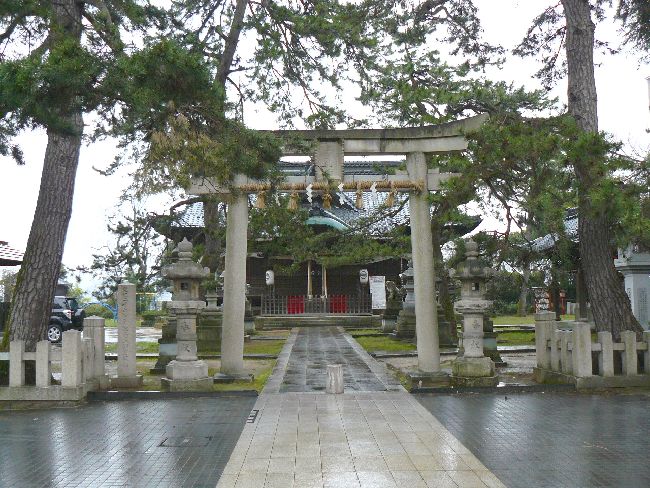 �����_��