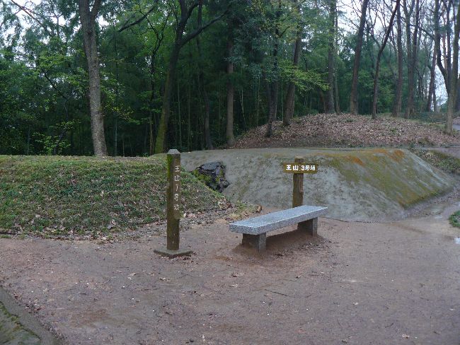 ���R�Õ��Q