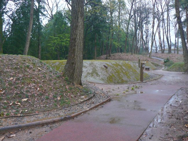 ���R�Õ��Q