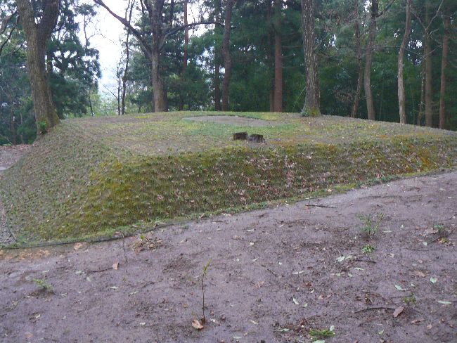 ���R�Õ��Q