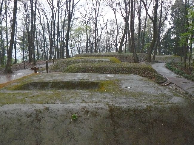 ���R�Õ��Q