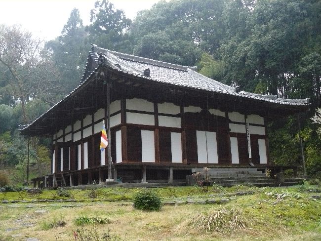 ���ʓ��i�Ԃ̓���j