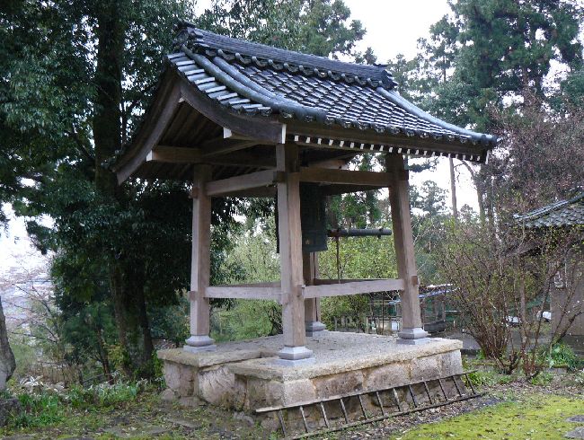 ���ʓ��i�Ԃ̓���j