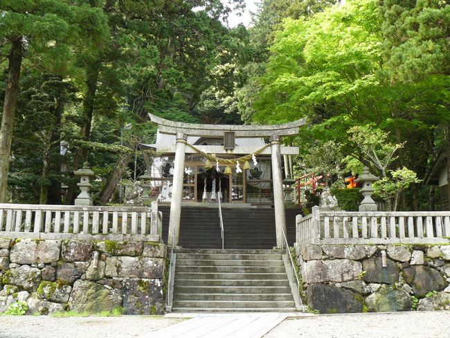 ���ꎡ�_��