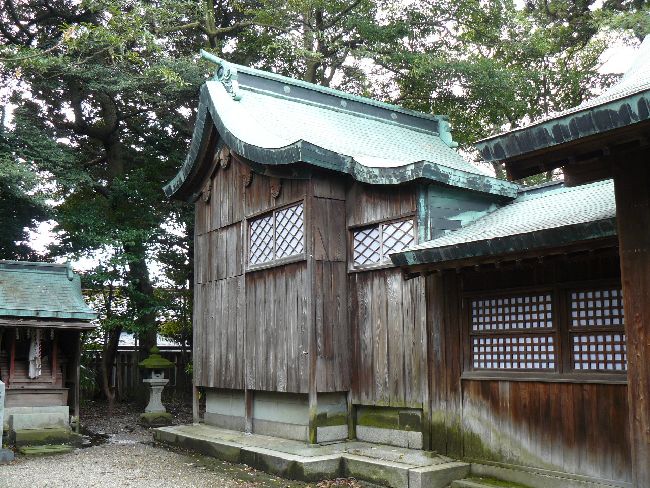 �����_��