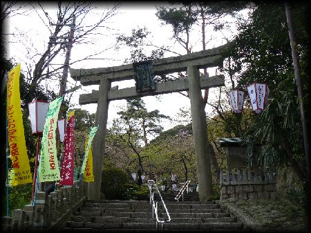 ����{�Q���Βi���猩�グ���Β���