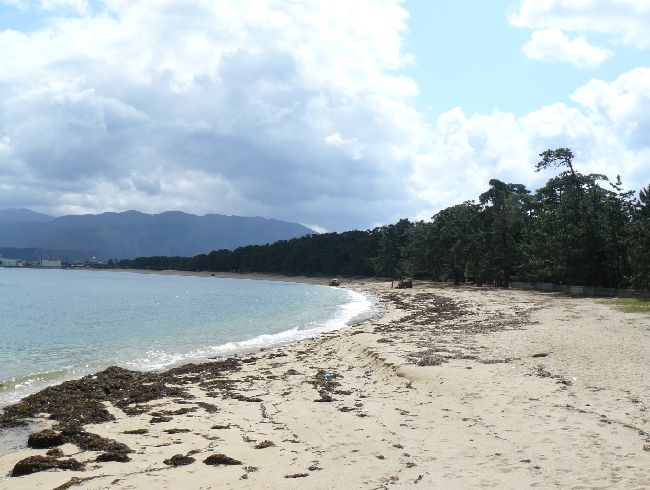 �C��̏���