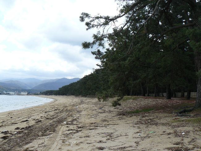 �C��̏���