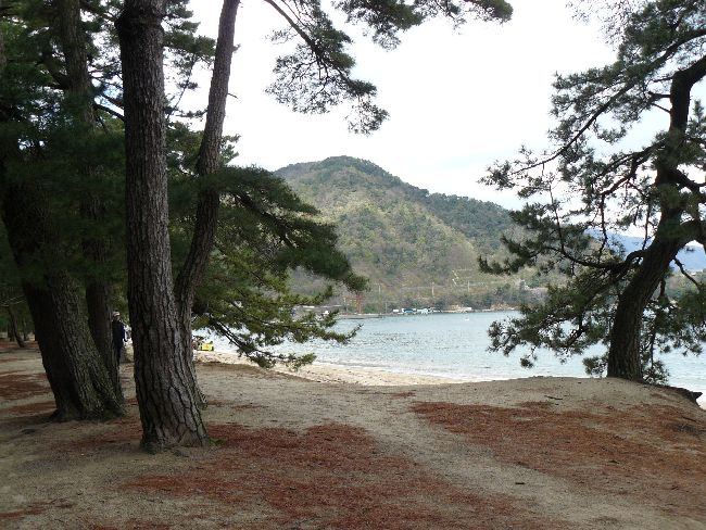 �C��̏���