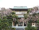 松平忠直と縁がある西福寺参道から見た鉄筋コンクリート造の三門