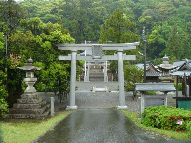 �F�g���_��