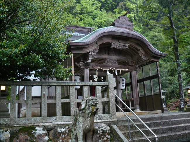 �F�g���_��